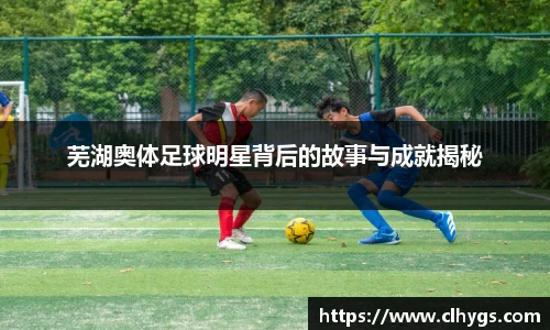芜湖奥体足球明星背后的故事与成就揭秘